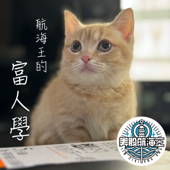 航海王的富人學